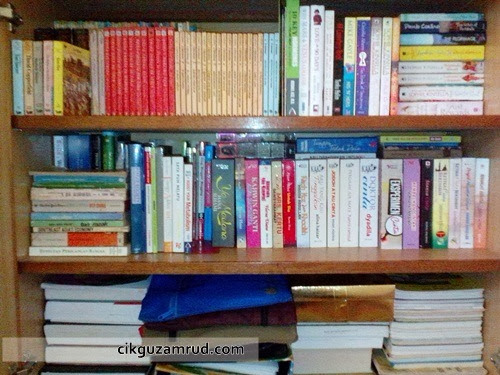 novel