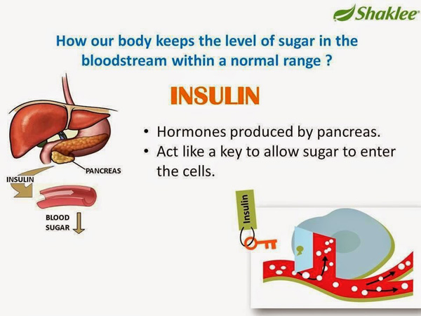 insulin 2