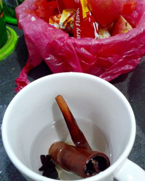Petua dan Cara Halau Lalat Yang Berkesan - ERATUKU