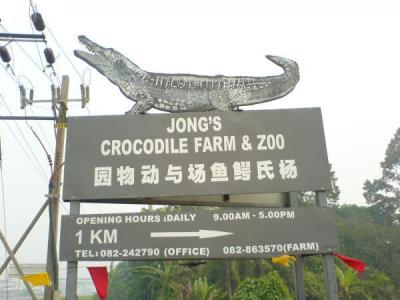 Jongs Crocodile Farm