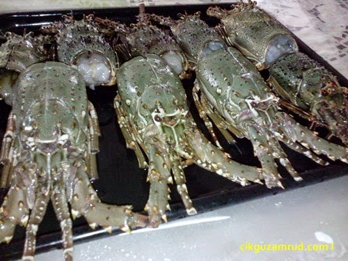 Malaysian lobster