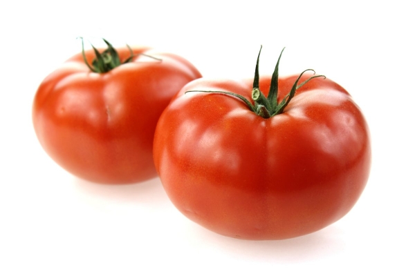buah tomato