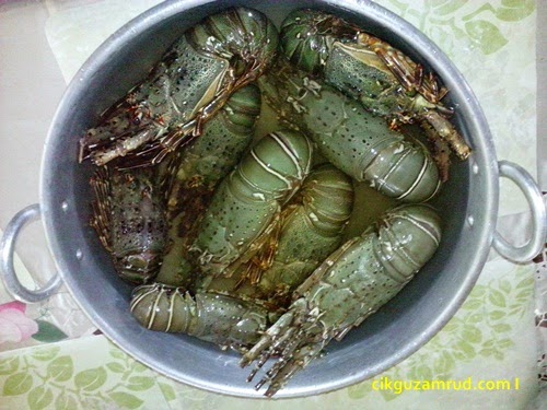 fresh lobster
