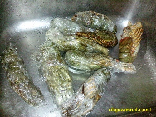 frozen lobster