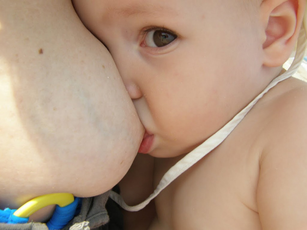 menyusu bayi