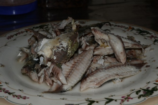 ikan kembung