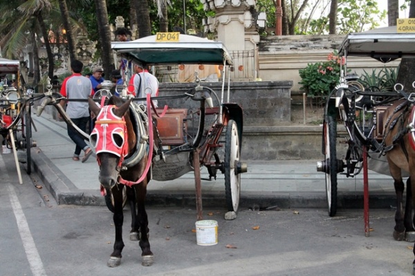 Kereta Keldai - Delman