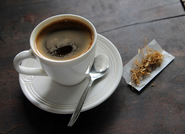kopi luwak