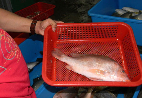Ikan Bakar