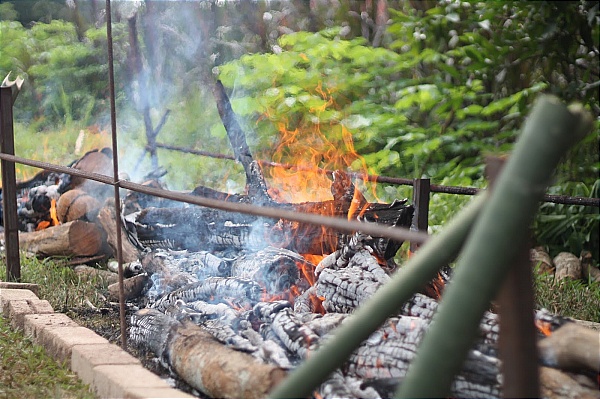kayu bakar
