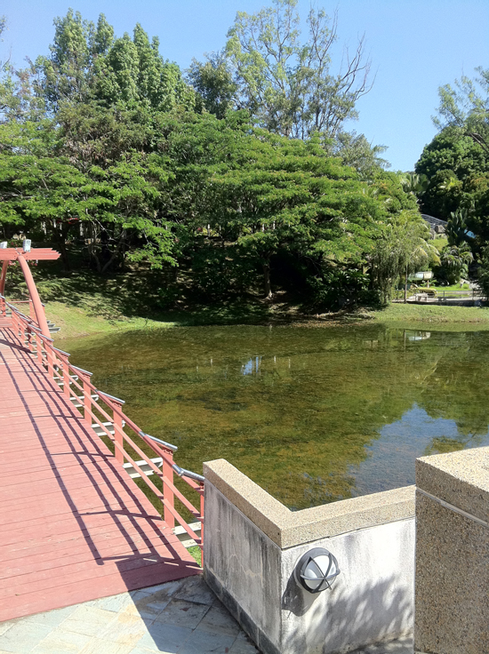 botanical garden