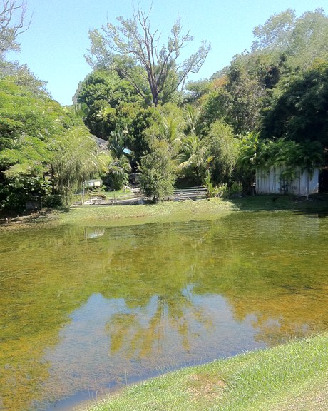 permandangan tasik