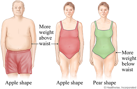 apple shape