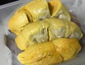 isi durian